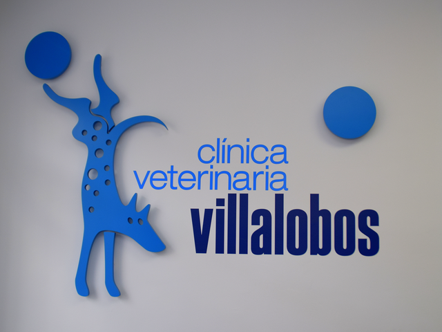 Fotos de CLINICA VETERINARIA VILLALOBOS