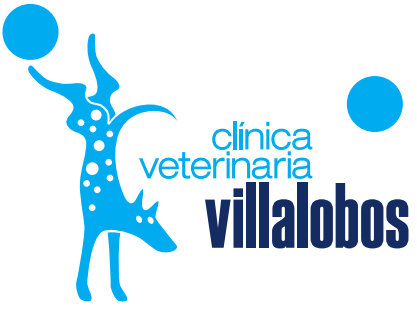 Foto de CLINICA VETERINARIA VILLALOBOS