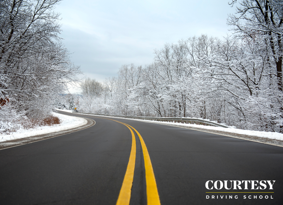 Courtesy Driving School