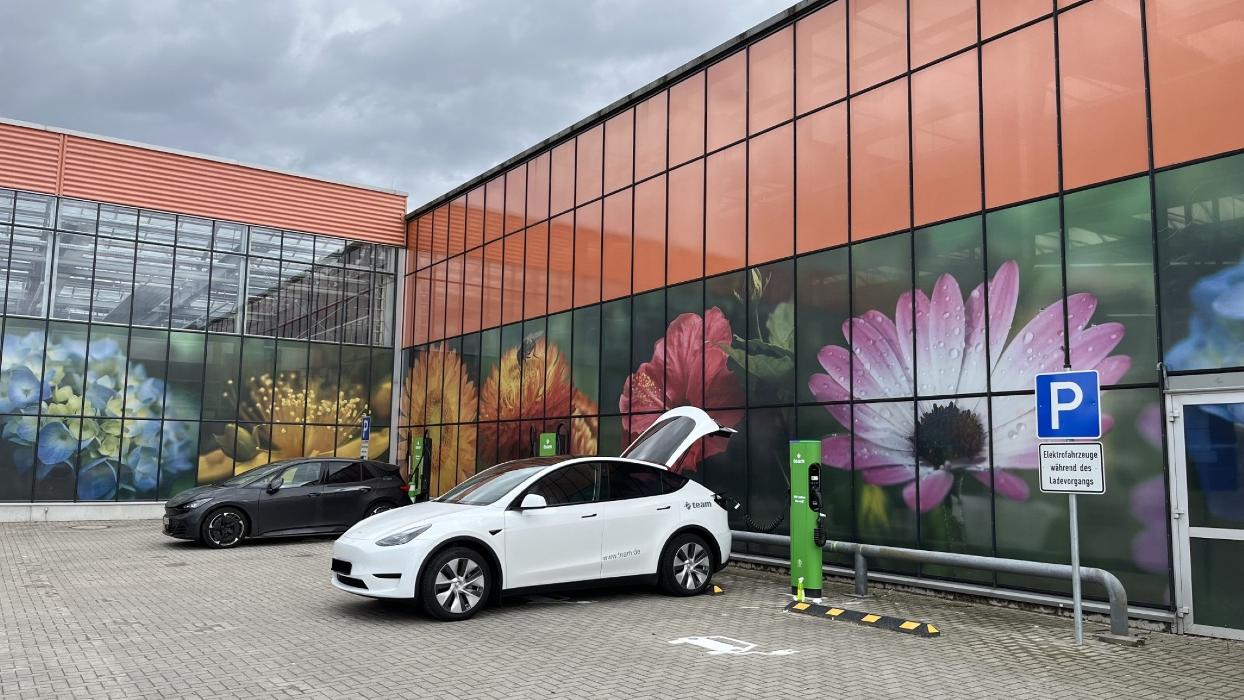 team energie, Ostring in Niebüll