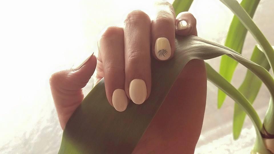 Kosmetik & Nails, Tittmannstraße in Dresden