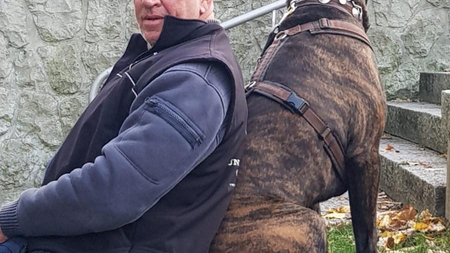 RolfsRudel Hundeschule / Rolf Matar, Seefelder Weg in Warringholz