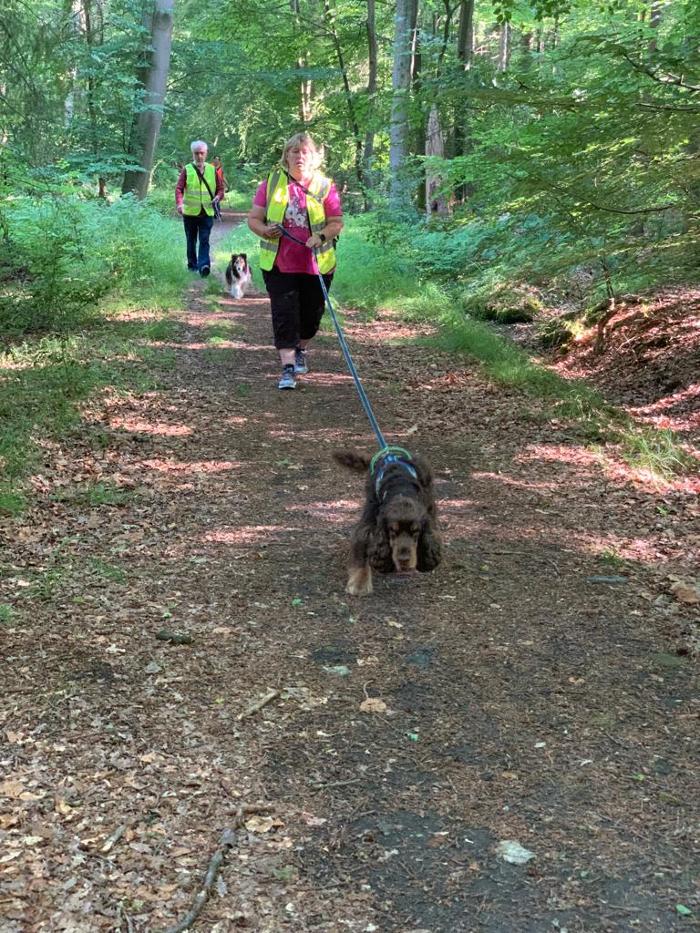RolfsRudel Hundeschule / Rolf Matar, Seefelder Weg in Warringholz