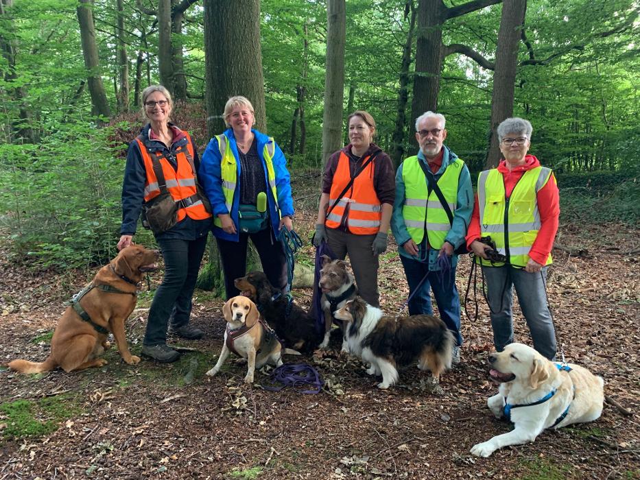 RolfsRudel Hundeschule / Rolf Matar, Seefelder Weg in Warringholz