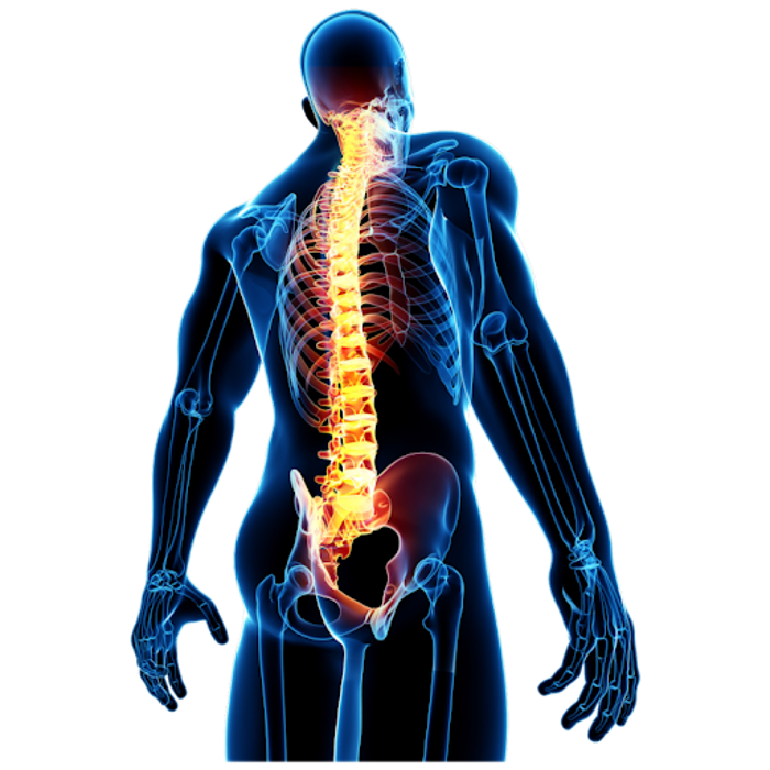 Physiotherapie Mathias Herrmann in Waltershausen