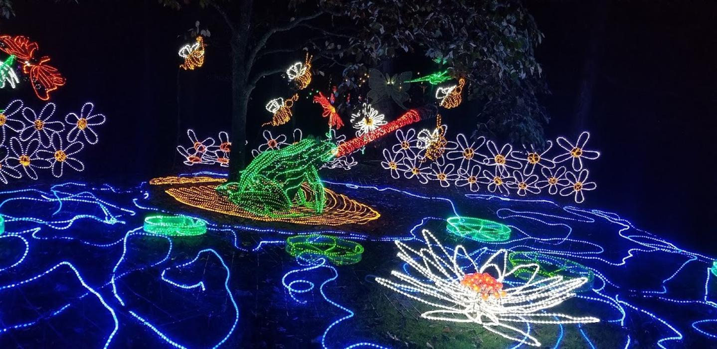 A vibrant outdoor light display featuring glowing pathways, illuminated figures, and colorful landscape lighting for a magical nighttime experience.

