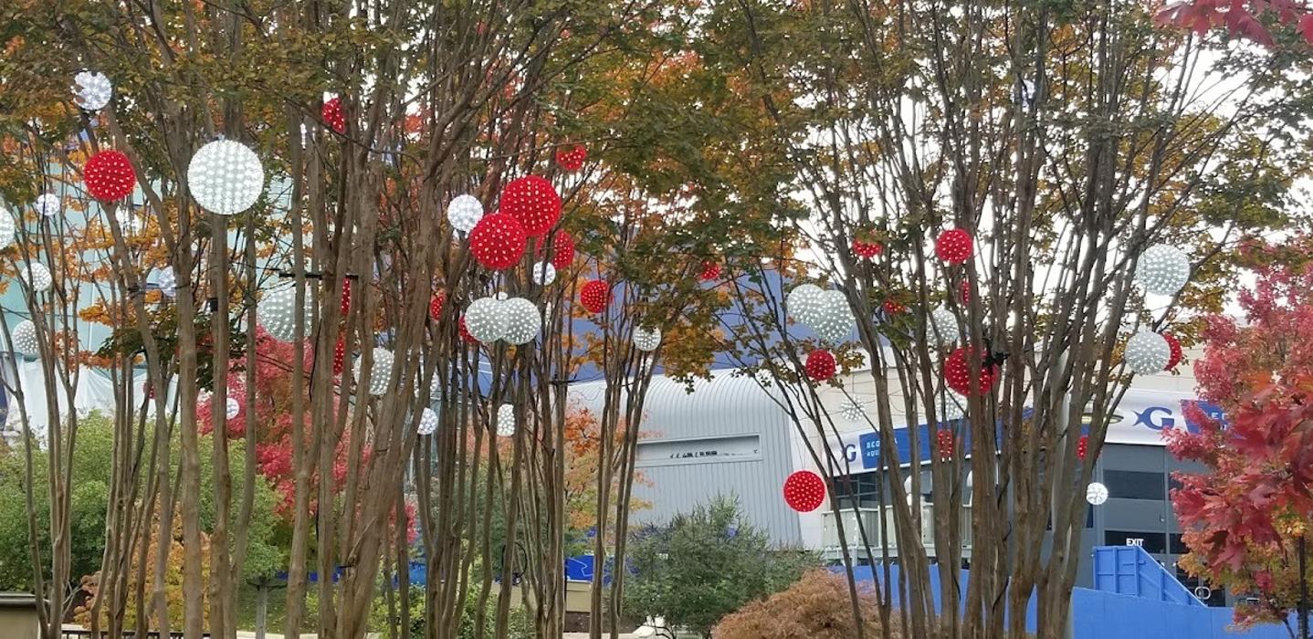 Outdoor trees decorated with hanging lanterns and colorful lights, creating a whimsical illuminated display for a festive setting.