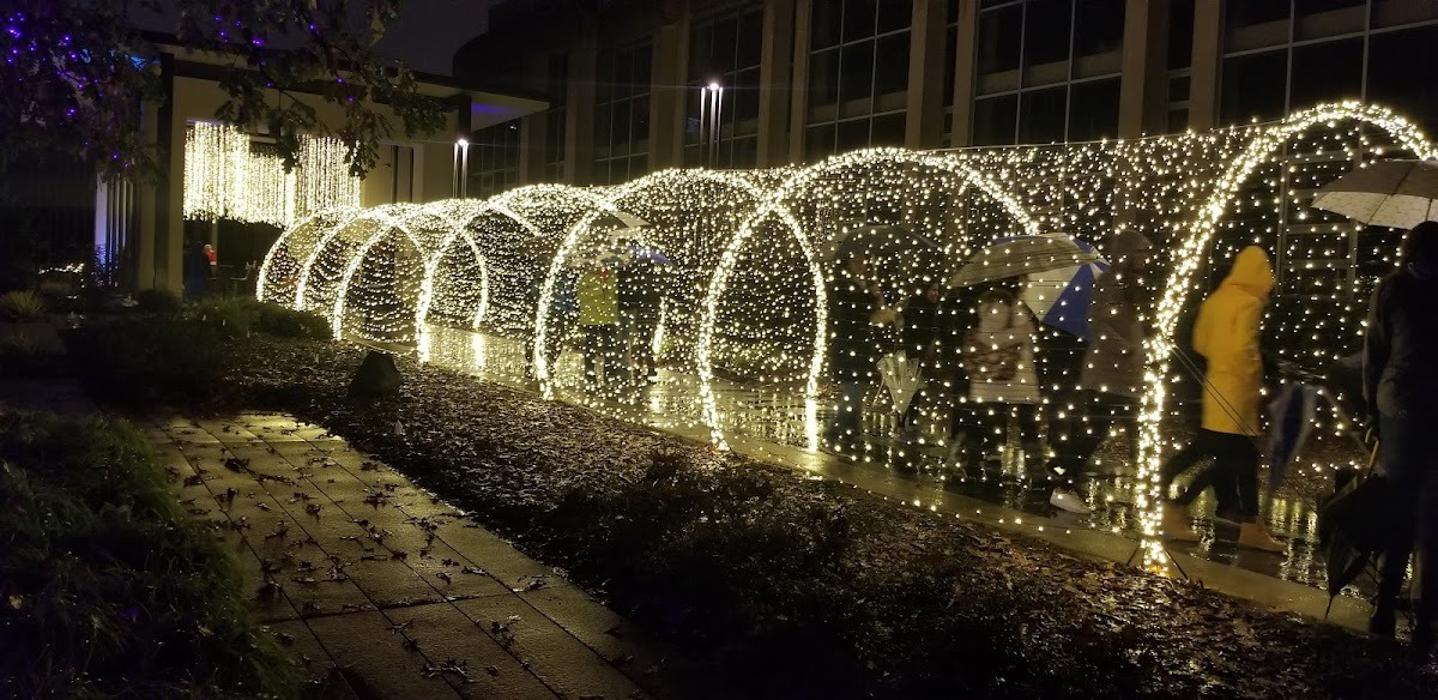A beautiful series of lighted archways lining a residential walkway, adding elegance and warmth to the outdoor landscape at night.
