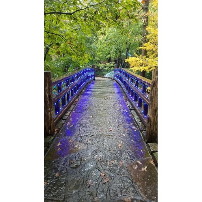 A charming pedestrian bridge accented with vivid blue lighting, transforming the walkway into a striking nighttime landscape feature.