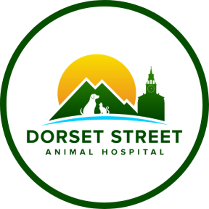 Dorset Street Animal Hospital