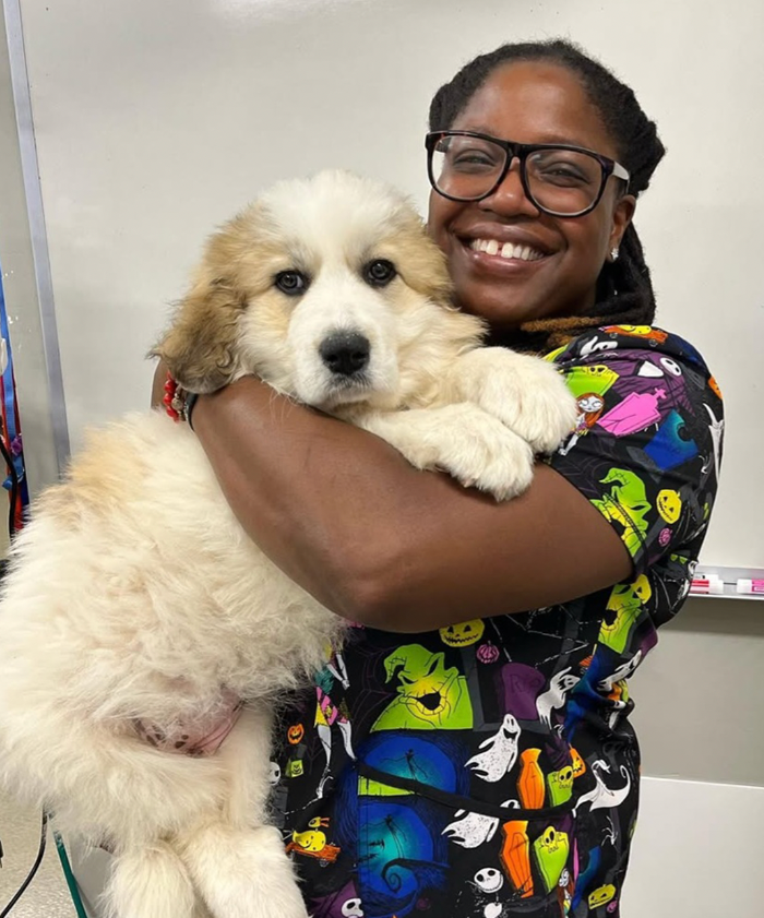 ZumiVet In-Home Veterinary Care