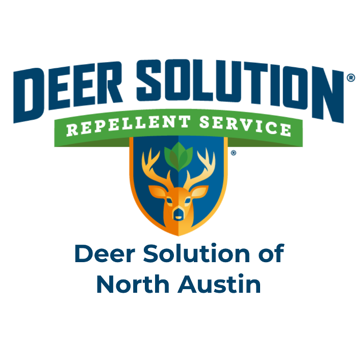 Deer Solution of North Austin