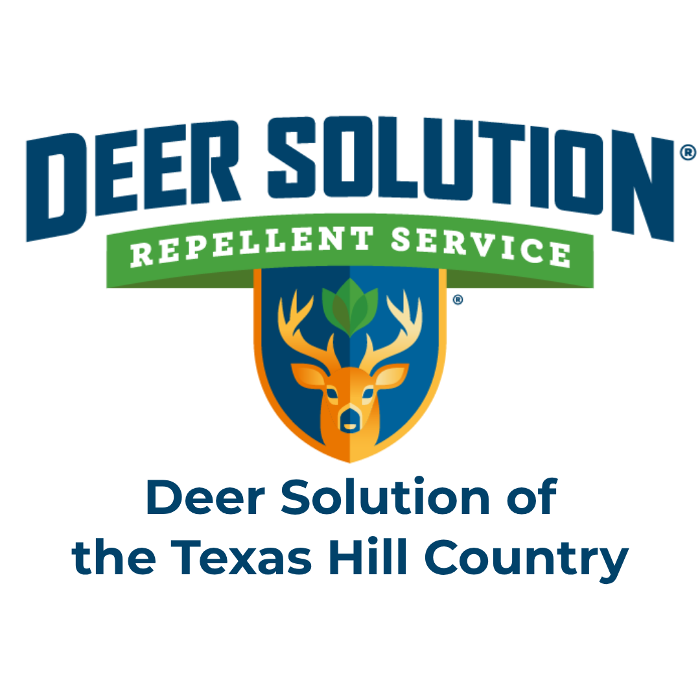 Deer Solution of the Texas Hill Country
