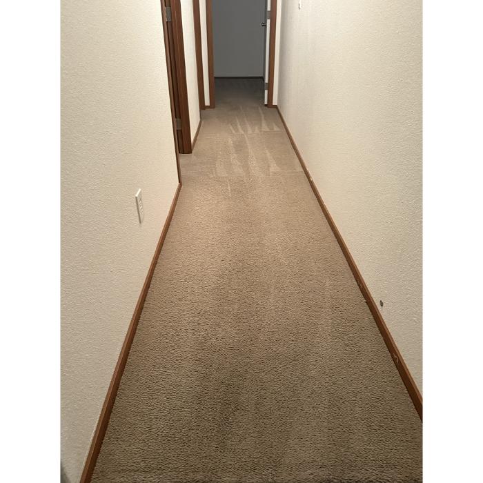 Carpet cleaner