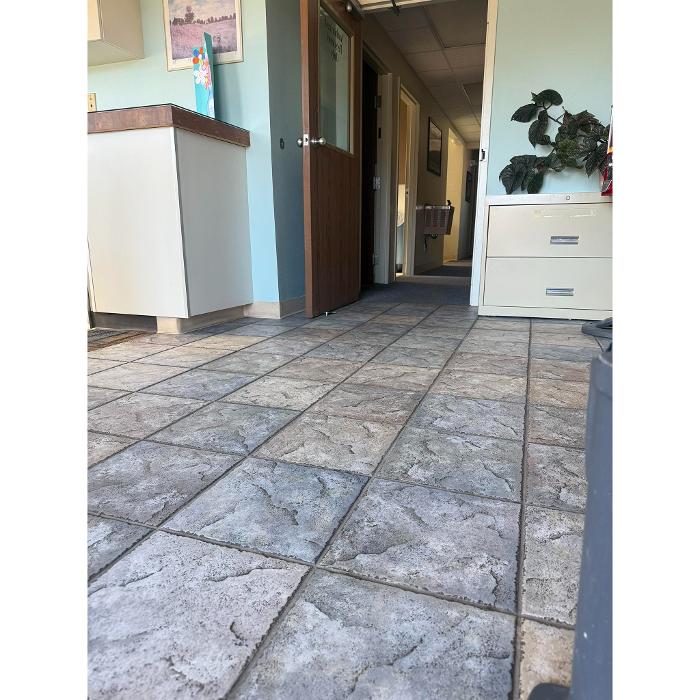 Business office cleaner