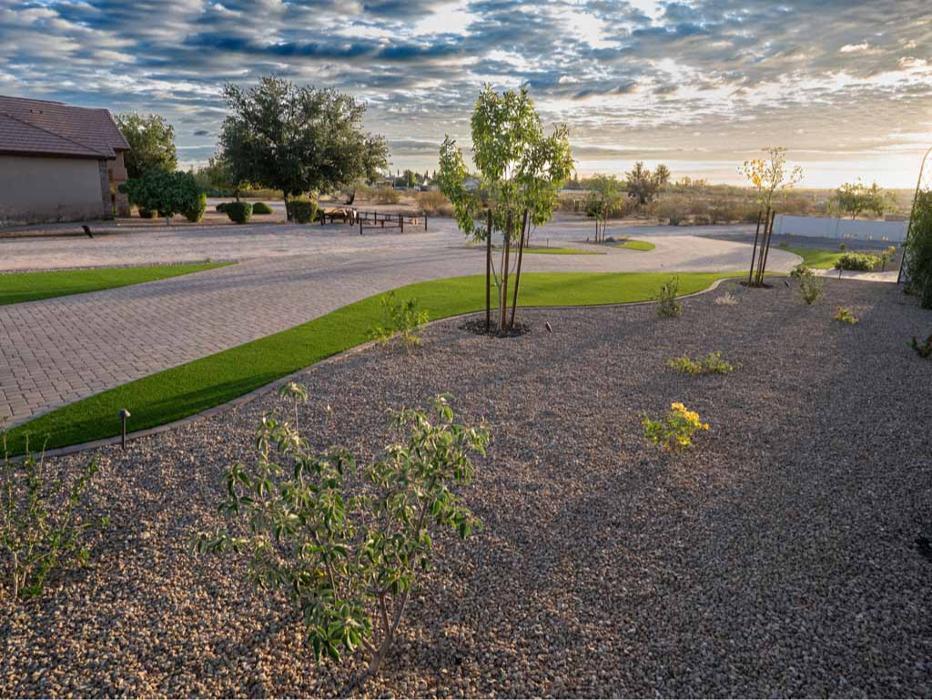 Established xeriscape front yard featuring decorative gravel, native mesquite trees, and crisp bed edging built for the Arizona climate.