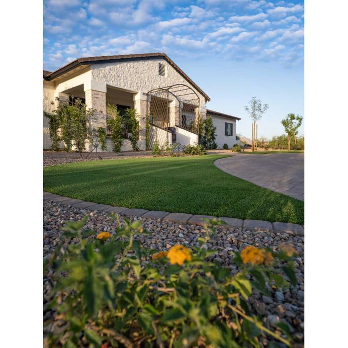 Modern Arizona home with curved xeriscape gravel beds, drought tolerant yellow blooms, and a crisp artificial turf lawn.