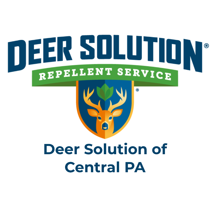 Deer Solution of Central PA