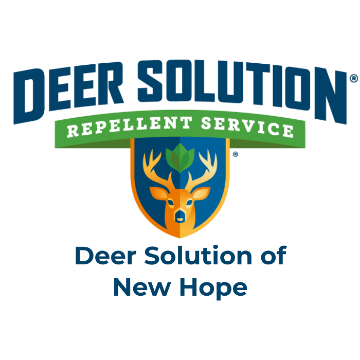 Deer Solution of New Hope