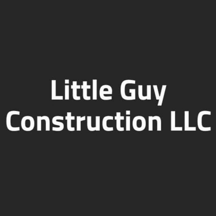 Little Guy Construction LLC