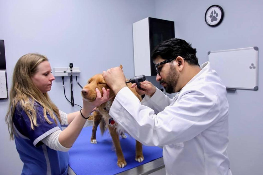 EastSide Veterinary Services