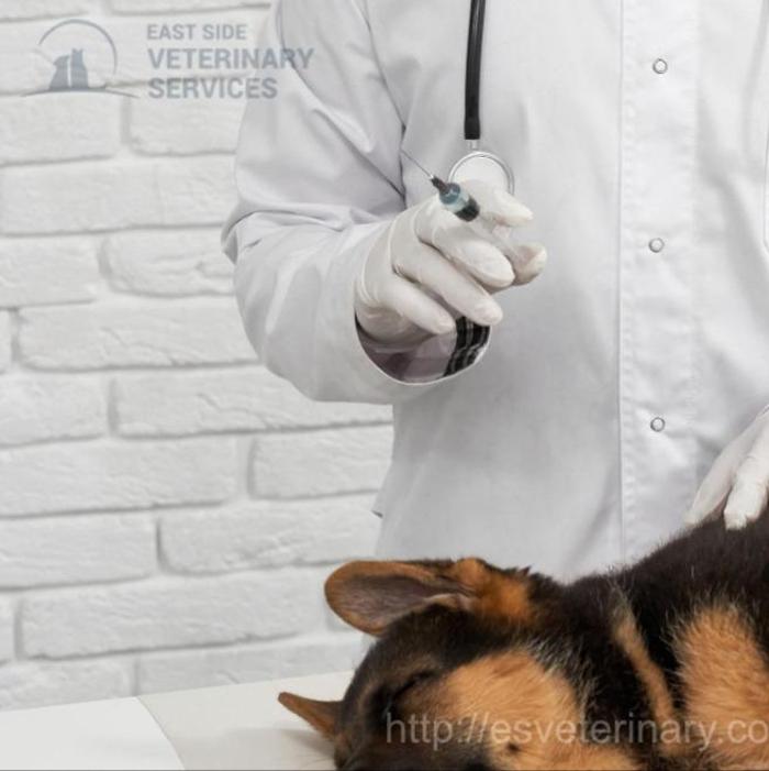 EastSide Veterinary Services