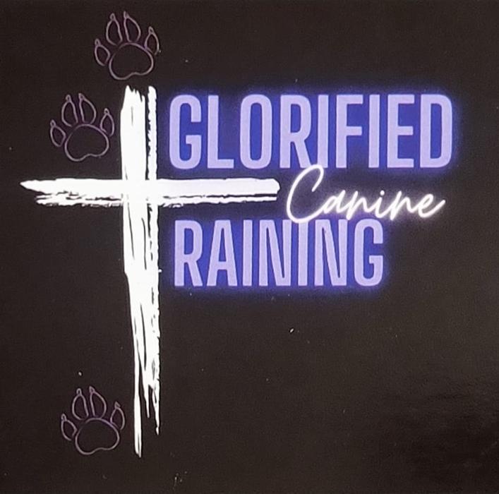 Glorified Canine Training