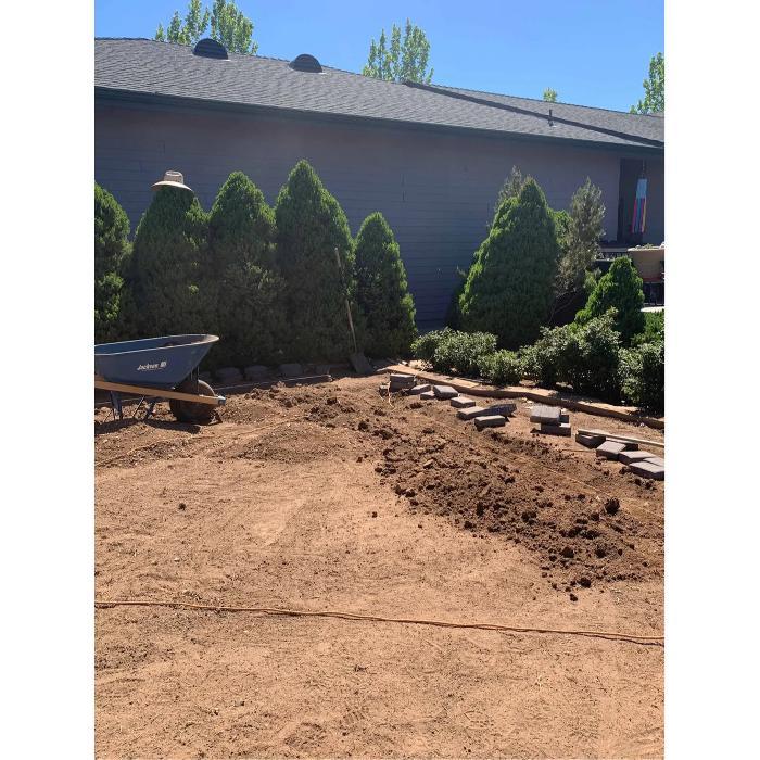 Evergreen shrubs and trees planted along a block wall for privacy landscaping in Prescott Valley, Arizona