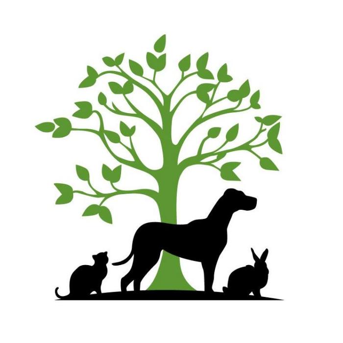 Animal Alley Veterinary Hospital