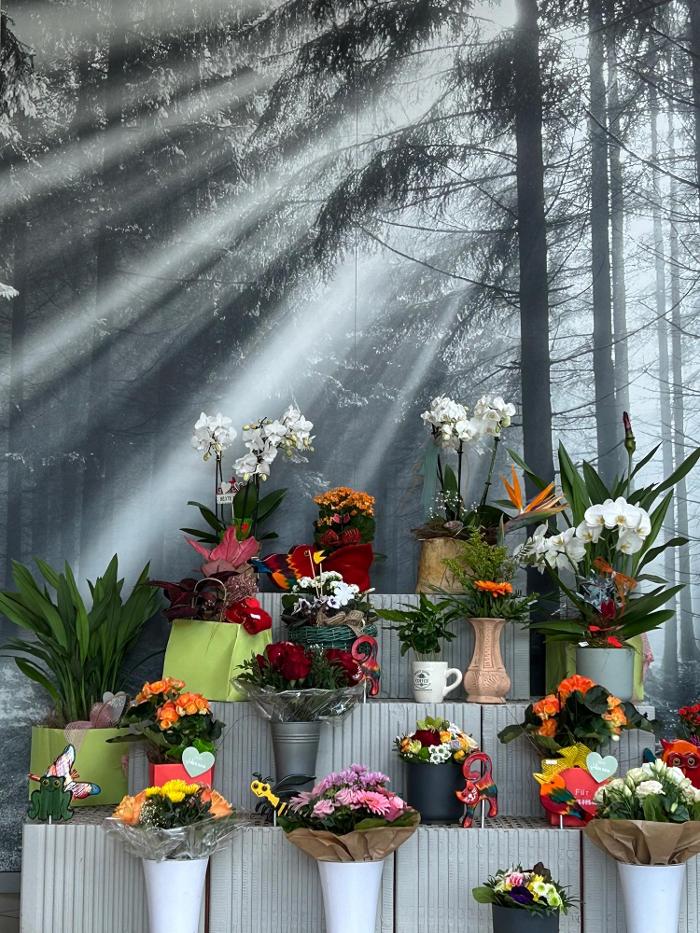 Blumen Haider, Chemnitzer Straße in Mittweida