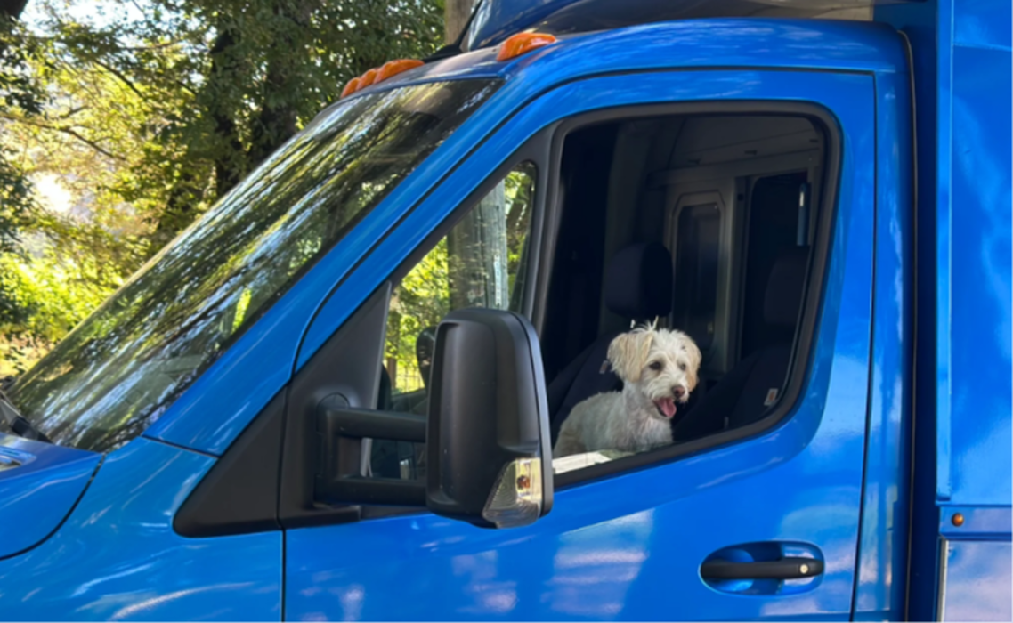 Sadie, the helper dog for Dejusto Plumbing!