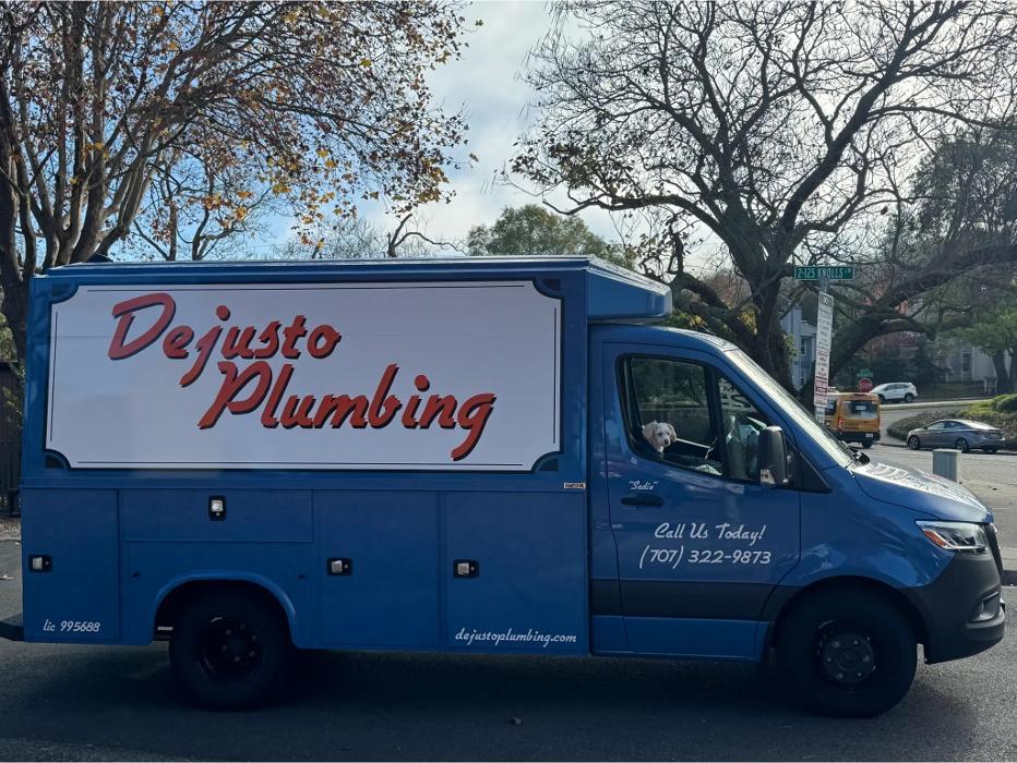 Dejusto Plumbing van.