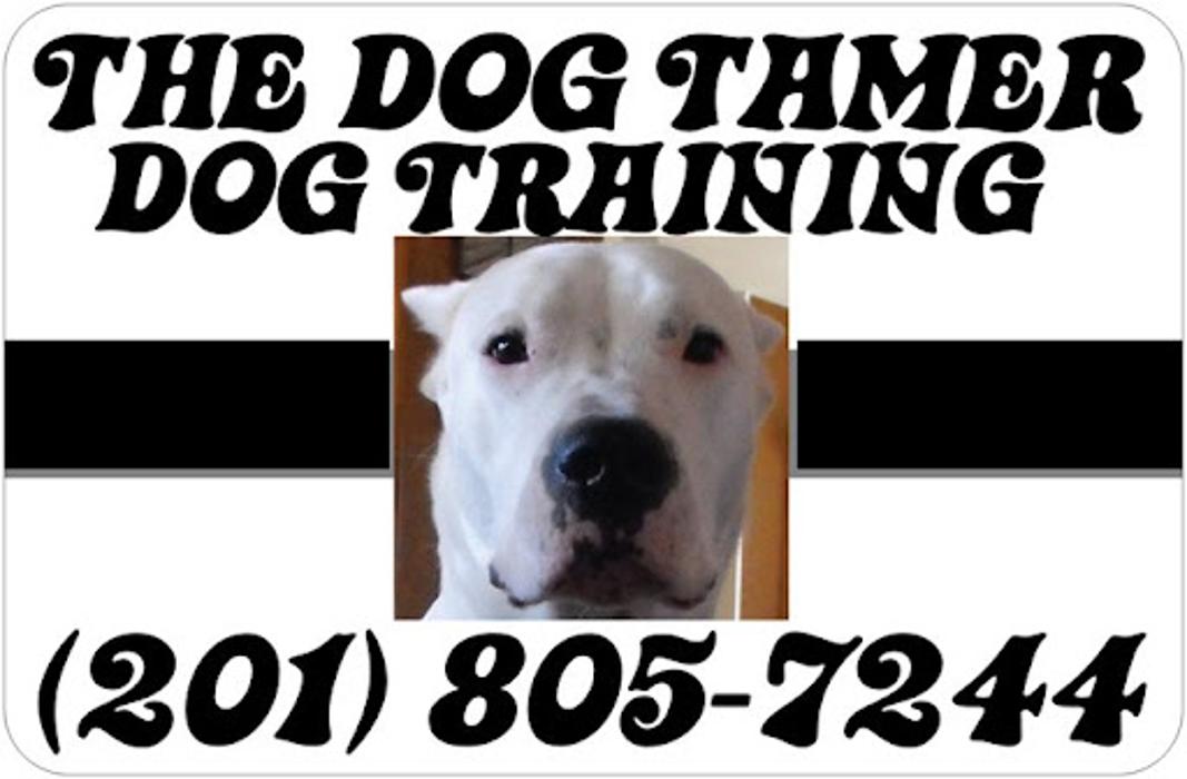 The Dog Tamer
