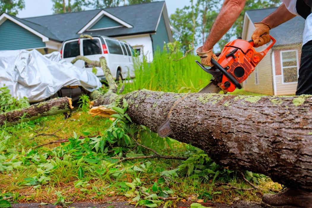 JS Tree Care LLC
