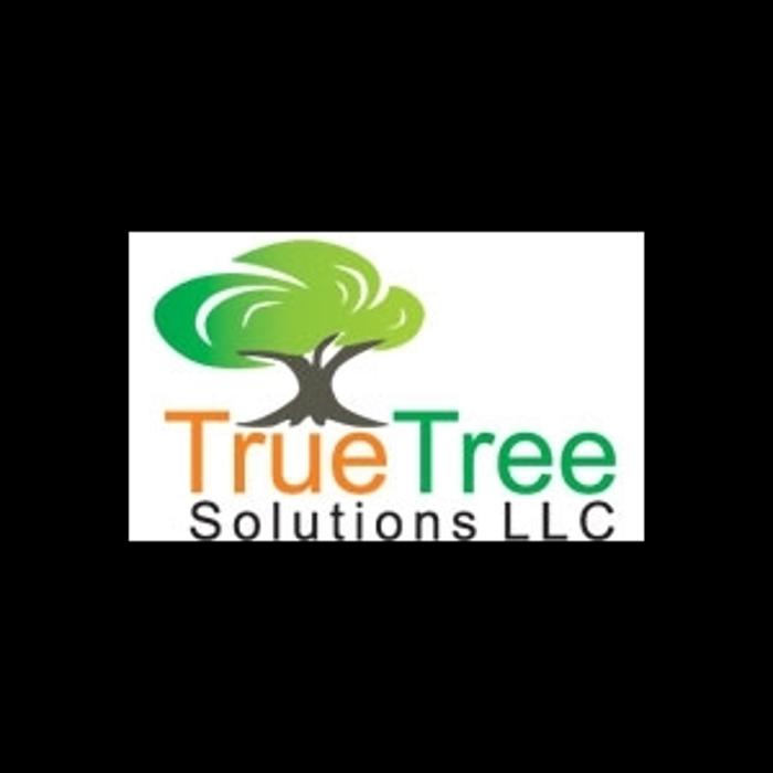 True Tree Solutions
