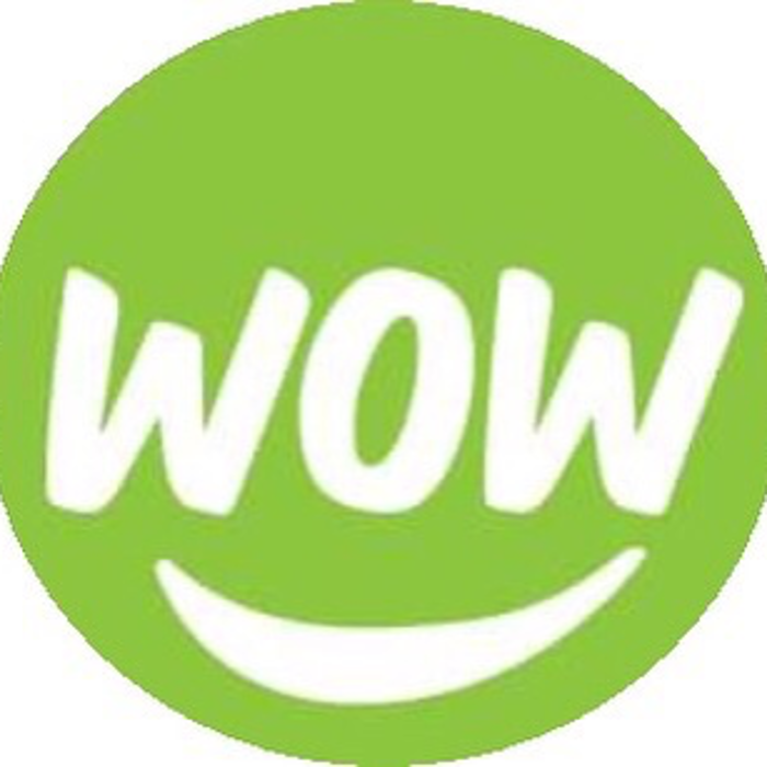 WOW 1 DAY PAINTING
