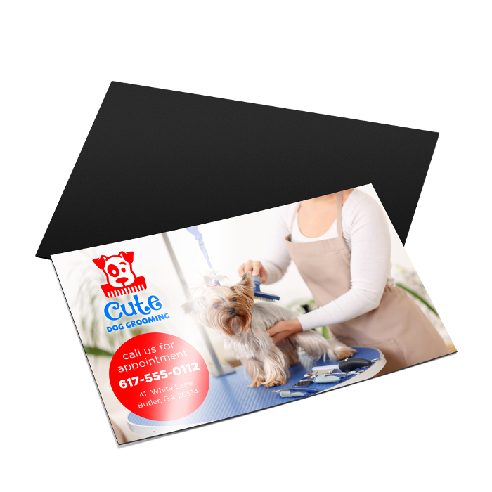 Dog grooming business card design printed by The Royal Prints