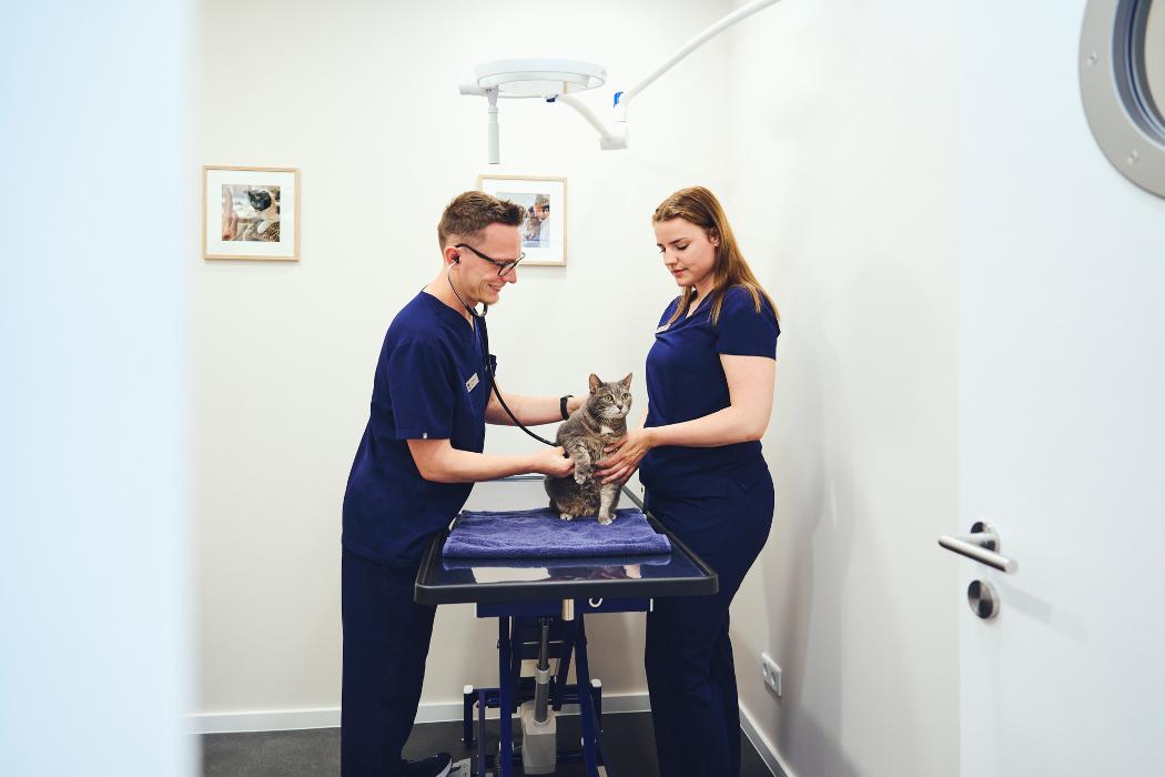 Rex Tierarztpraxis Frankfurt-Bockenheim, Leipziger Straße in Frankfurt am Main