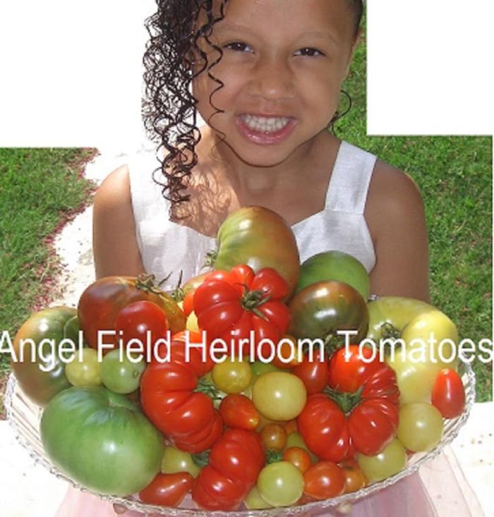 Angel Field Heirloom Tomatoes