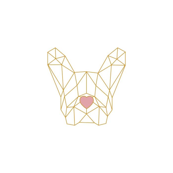 Comb & Collar Daycare & Grooming