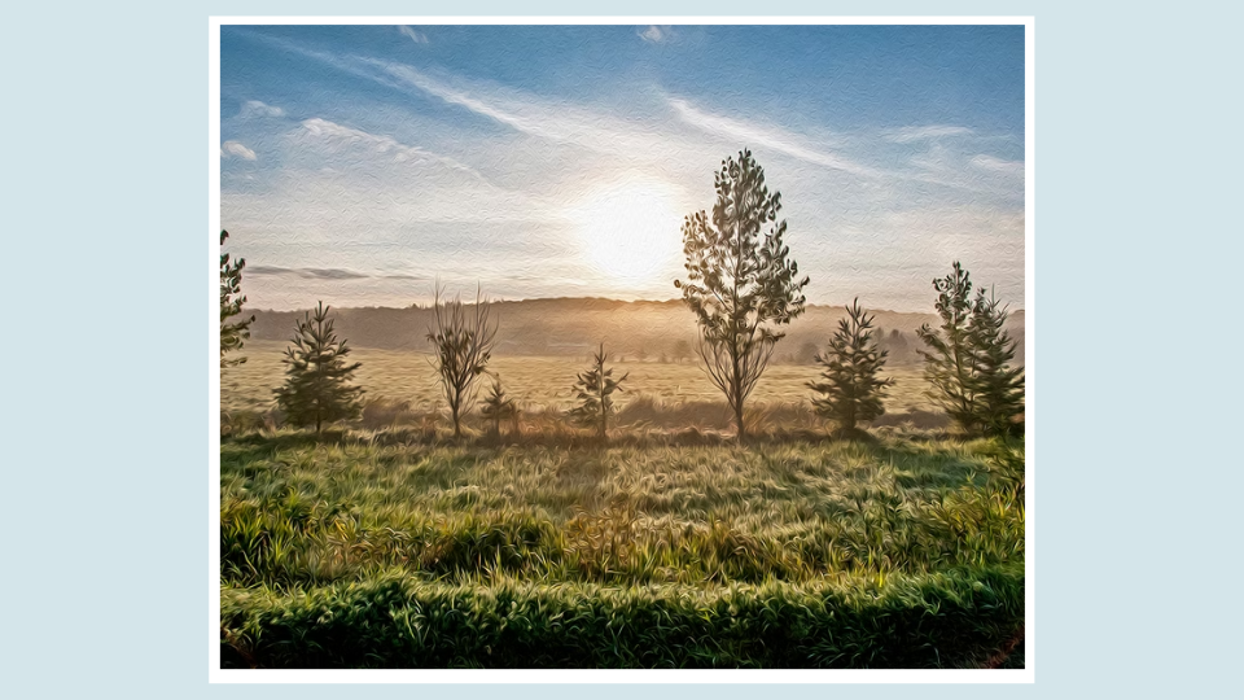 Fulin's Photo & Printing Framing & Matting