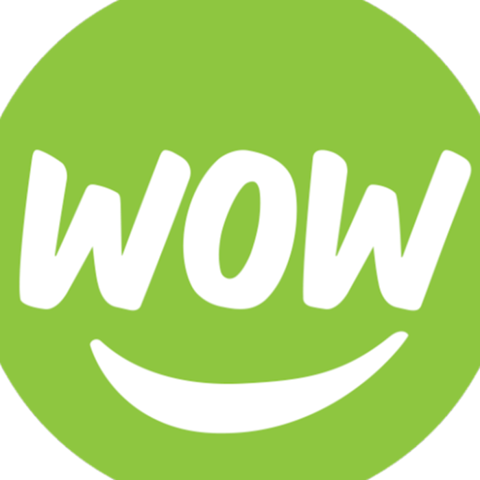 WOW 1 DAY PAINTING Calgary