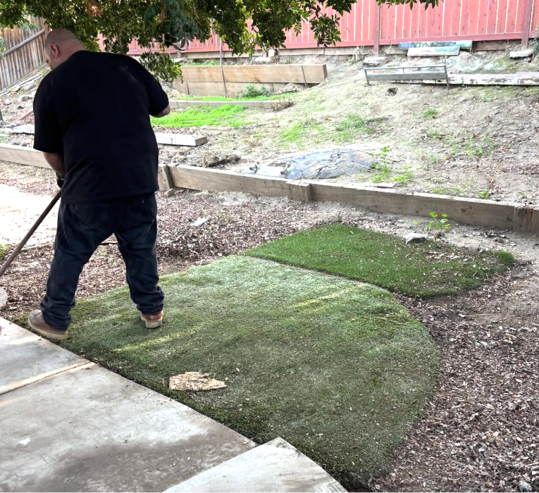Backyard Clean up