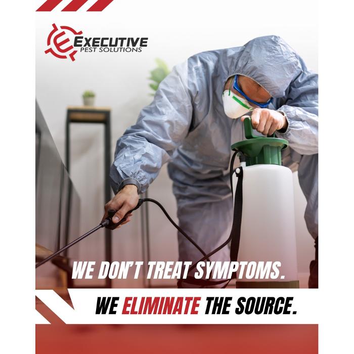 Pest control technician spraying indoors for Executive Pest Solutions in Coolidge, AZ, eliminating pest sources.