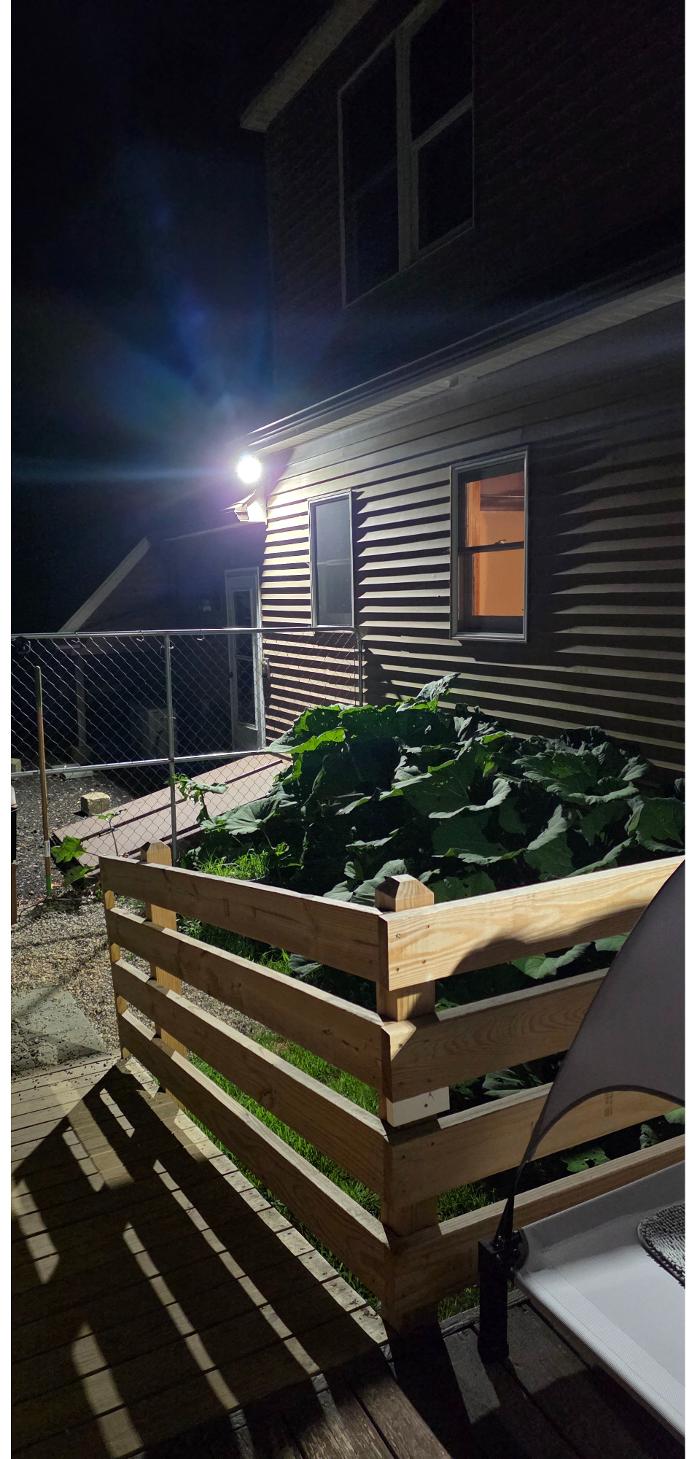 Exterior home flood light illuminating backyard area