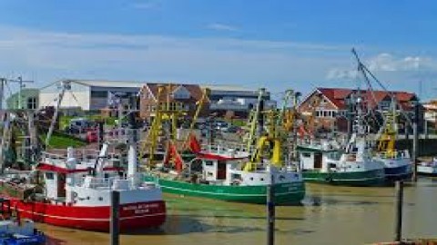 Galerie-Thumbnail