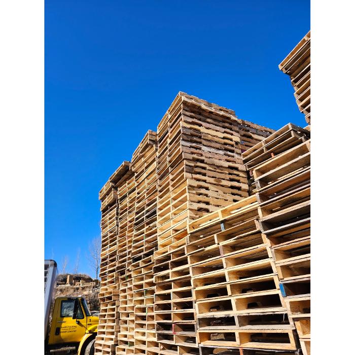 Tall stacks of wooden pallets at Quality Used Pallets in Shakopee, Minnesota