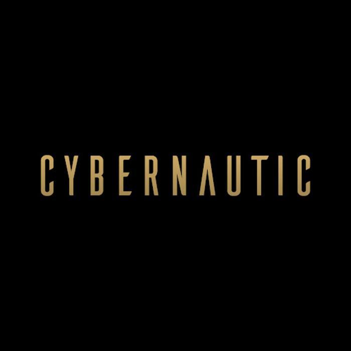 Cybernautic Web Design
