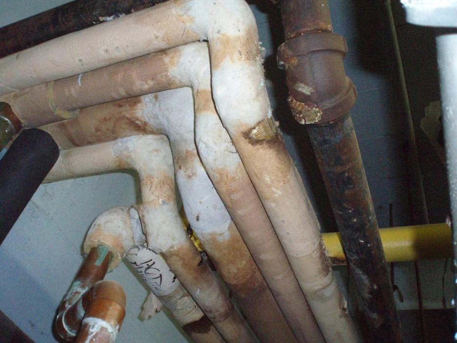 DS Environmental Ltd.