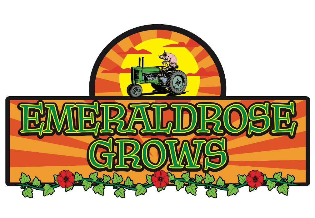 Emeraldrose Grows